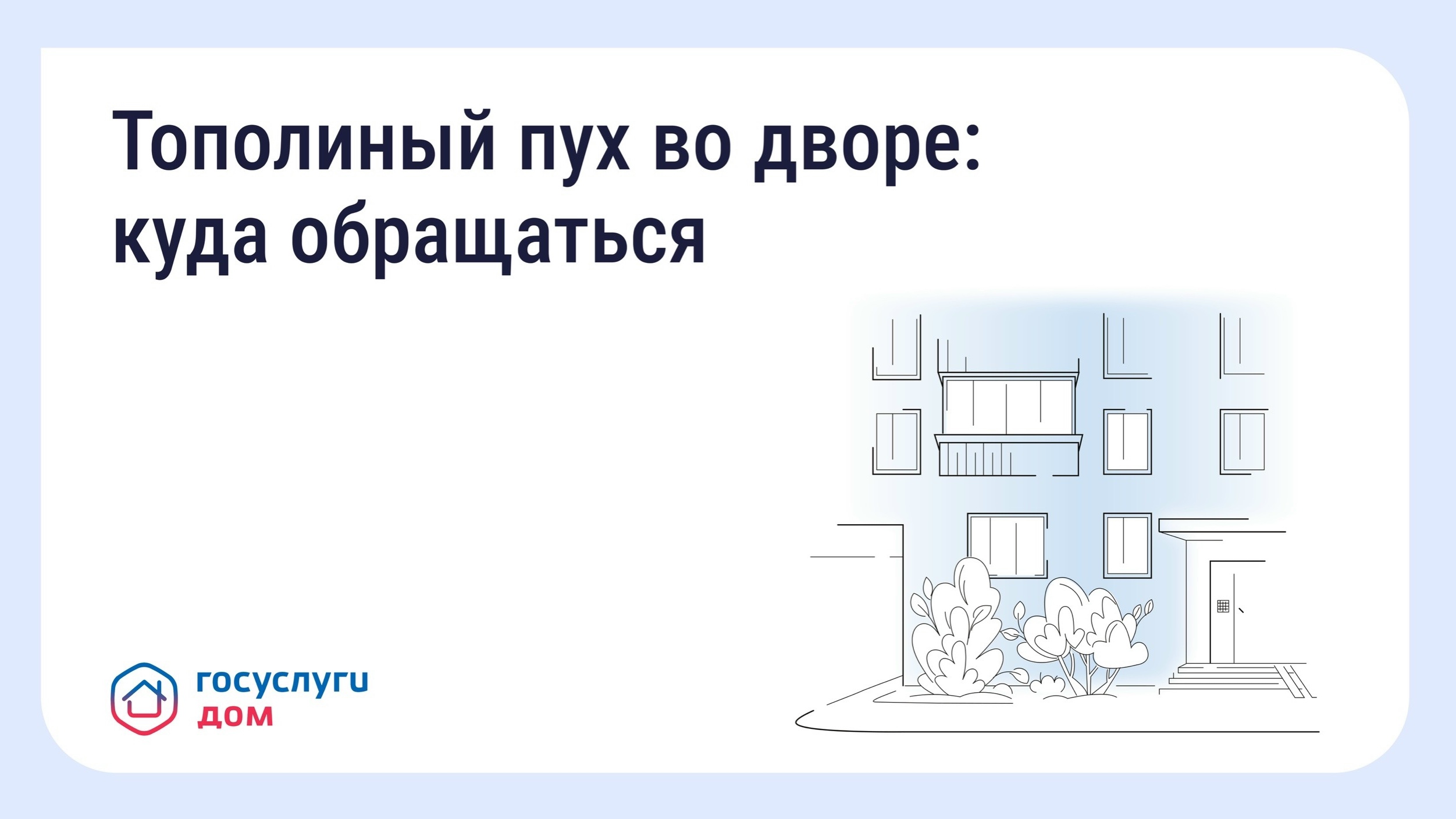 Что делать, если двор заполонил тополиный пух.